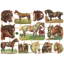 Mixed Horses Scraps ~ Germany